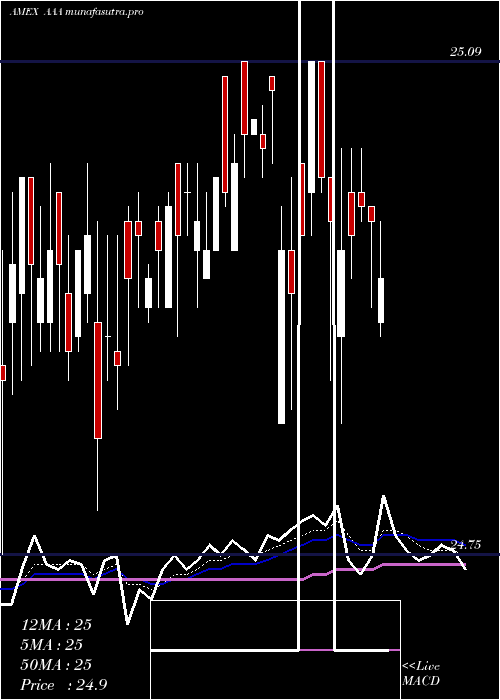 Daily chart FirstPriority