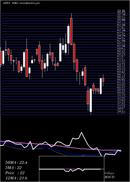  weekly chart ArkGenomic