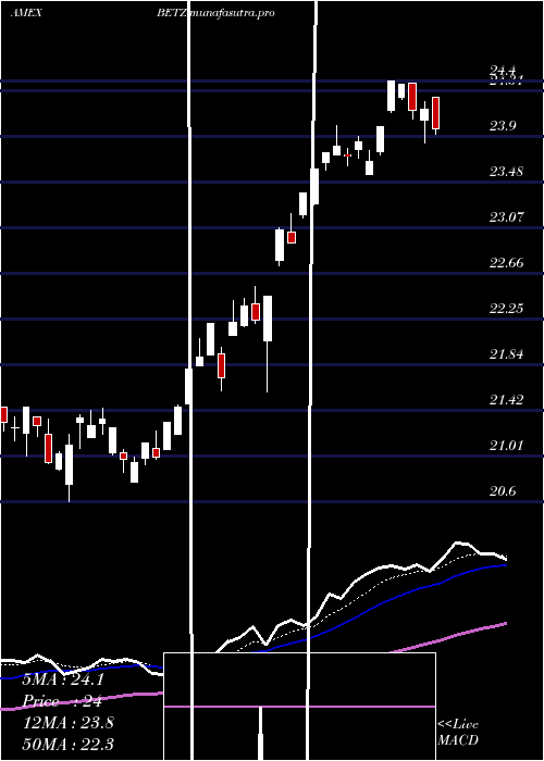 Daily chart RoundhillSports