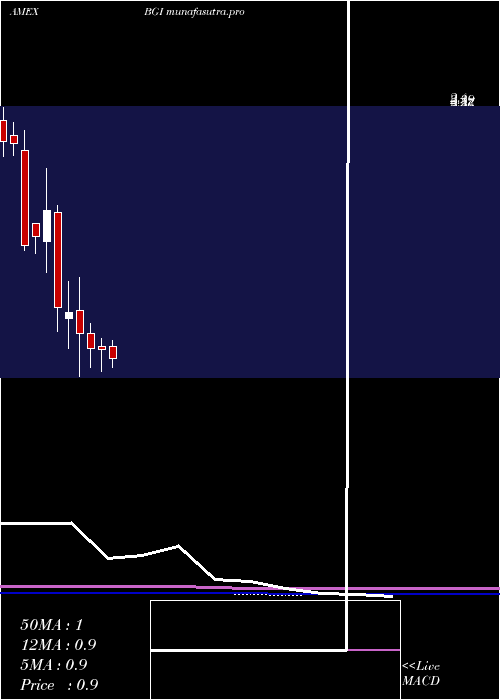 monthly chart BirksGroup