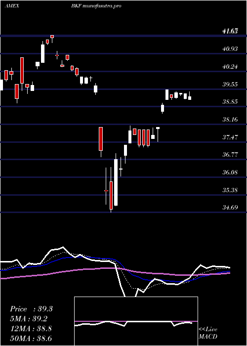  Daily chart BricIndex