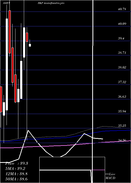  monthly chart BricIndex