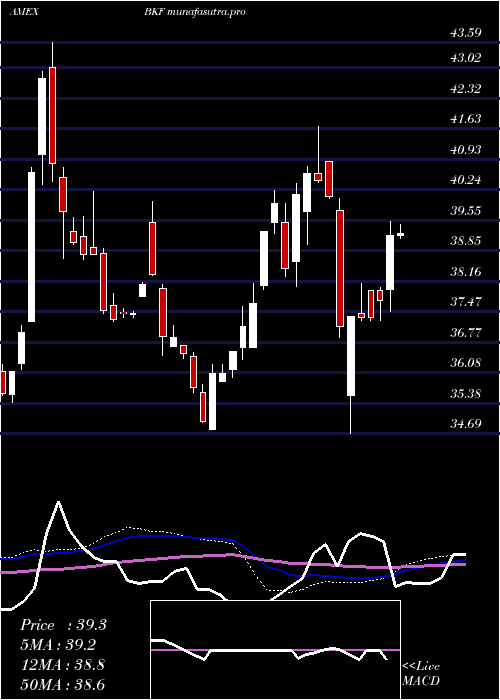  weekly chart BricIndex