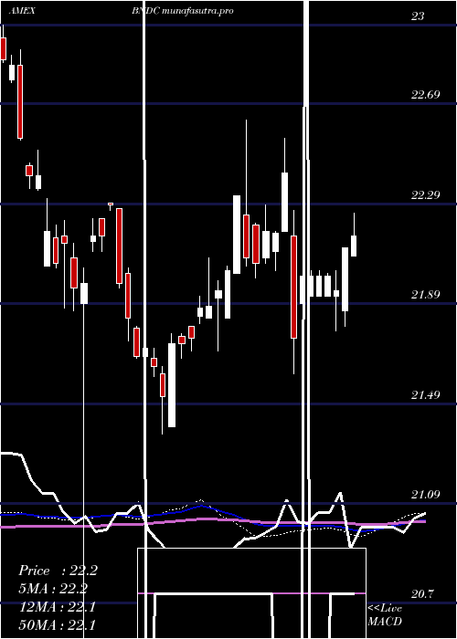 weekly chart FlexsharesCore