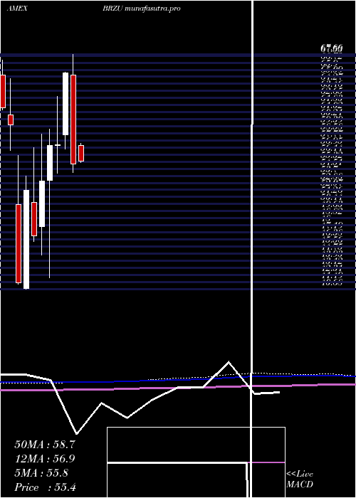  monthly chart DirexionDaily