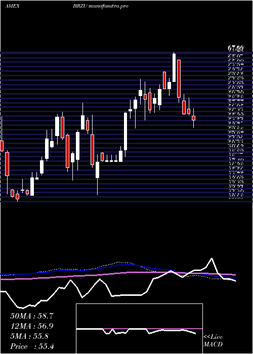  weekly chart DirexionDaily