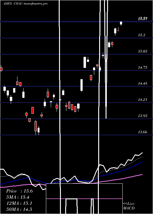 Daily chart DirexionDaily