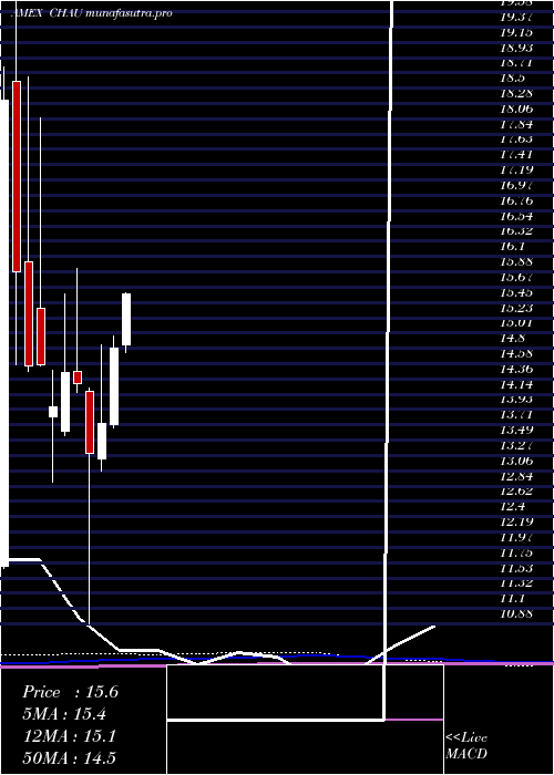 monthly chart DirexionDaily