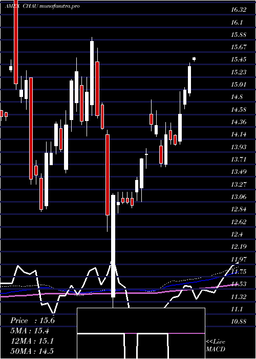 weekly chart DirexionDaily