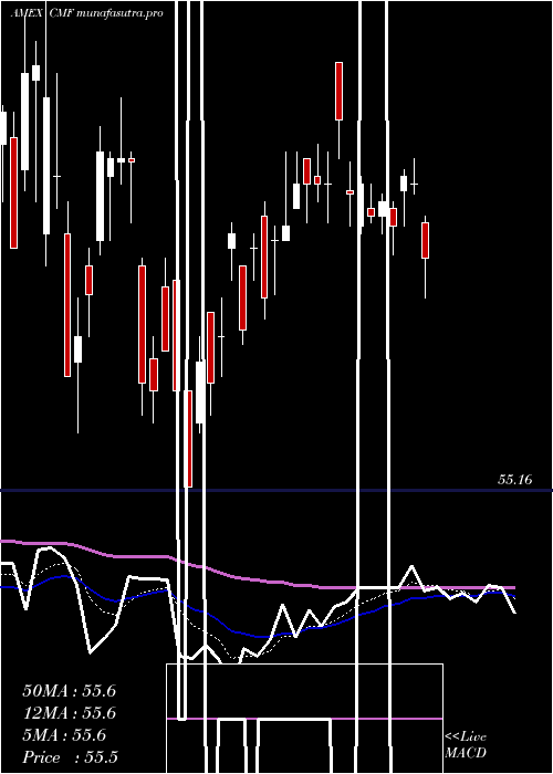 Daily chart SP