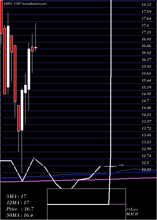 monthly chart CoreMolding
