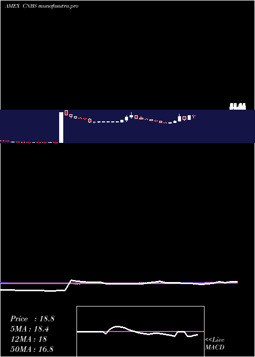  weekly chart AmplifySeymour