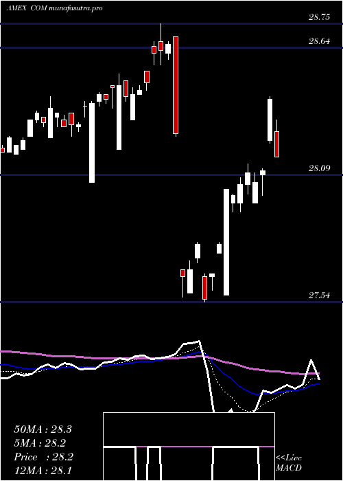 Daily chart AuspiceBroad