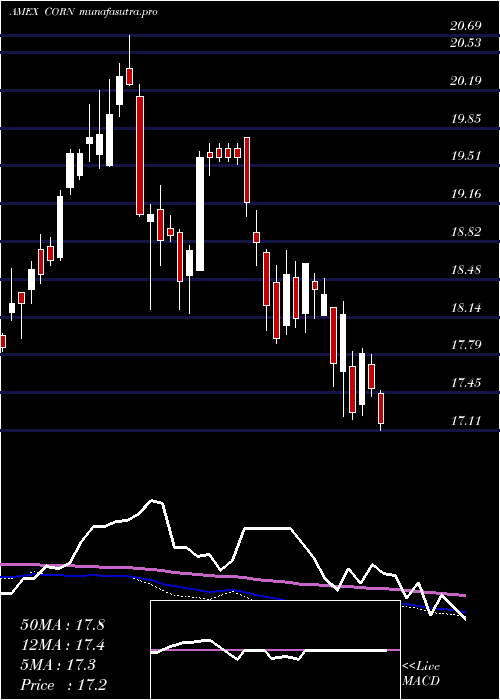  weekly chart TeucriumCorn