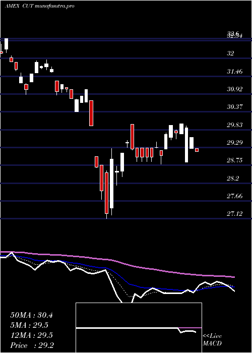  Daily chart TimberGuggenheim