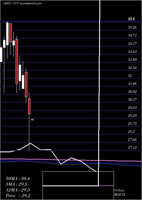 monthly chart TimberGuggenheim