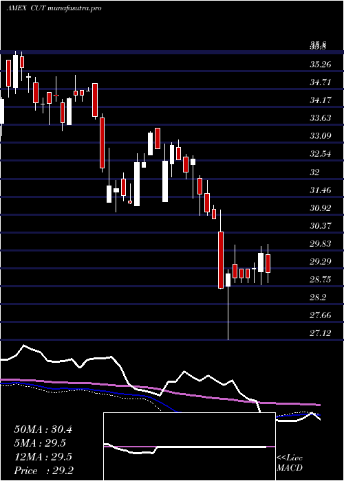  weekly chart TimberGuggenheim