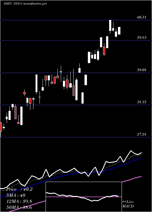 Daily chart WisdomtreeDynamic