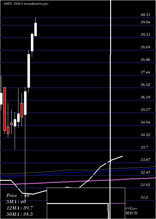 monthly chart WisdomtreeDynamic