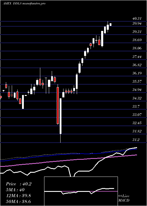weekly chart WisdomtreeDynamic