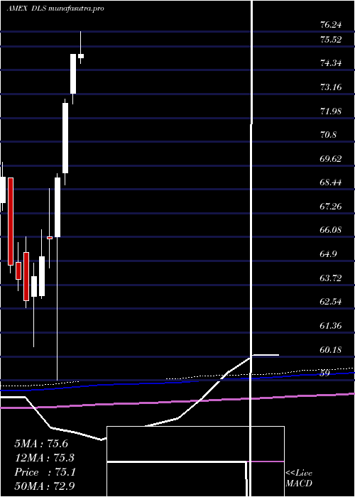 monthly chart IntlSmallcap