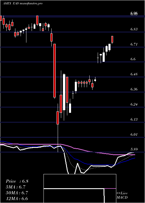  Daily chart WellsFargo