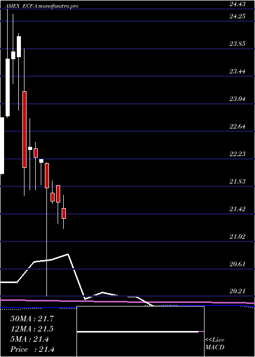 monthly chart EllsworthFund