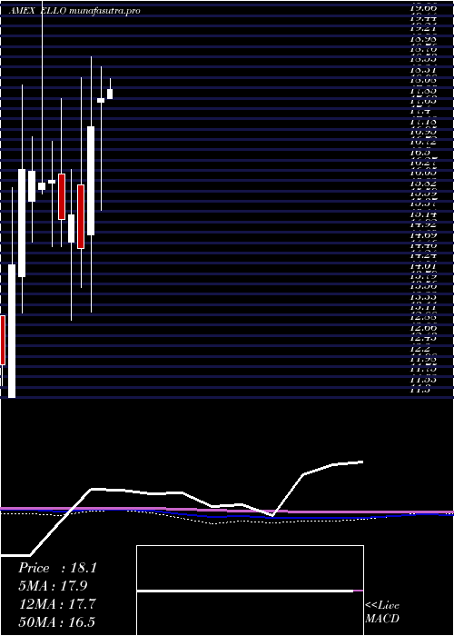 monthly chart EllomayCapital