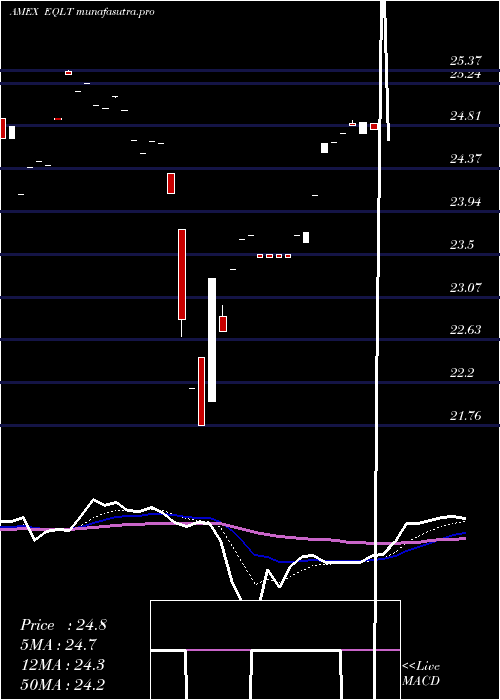 Daily chart WorkplaceEquality