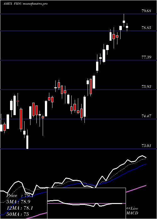 Daily chart FidelityMsci