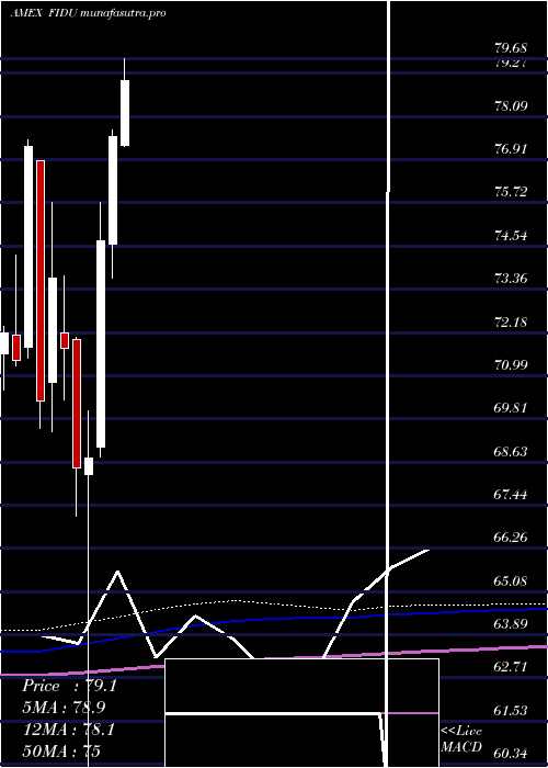monthly chart FidelityMsci