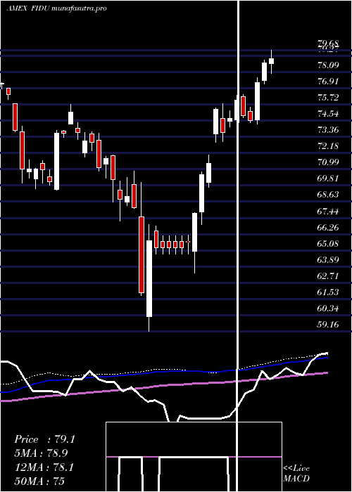 weekly chart FidelityMsci