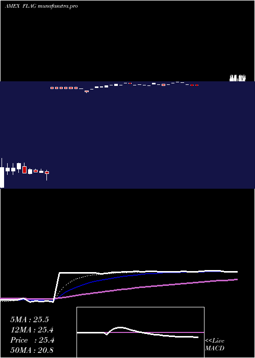 Daily chart ForensicAccounting