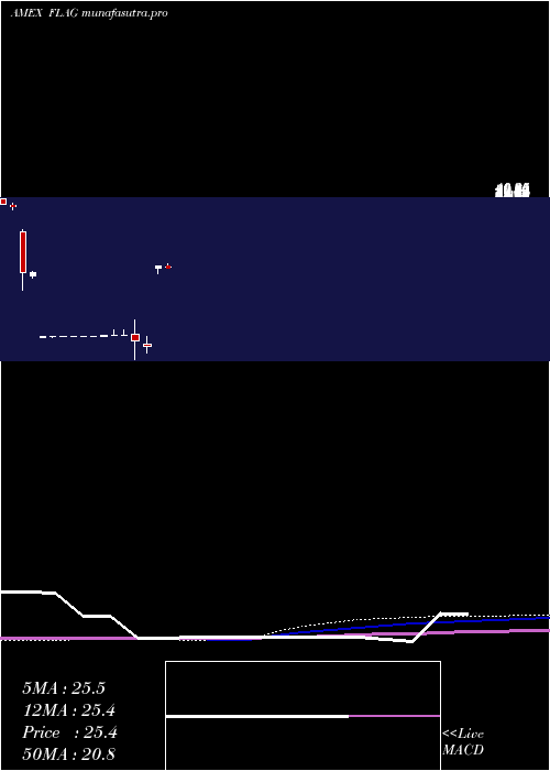 monthly chart ForensicAccounting
