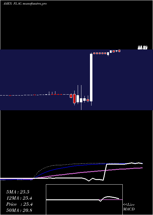 weekly chart ForensicAccounting