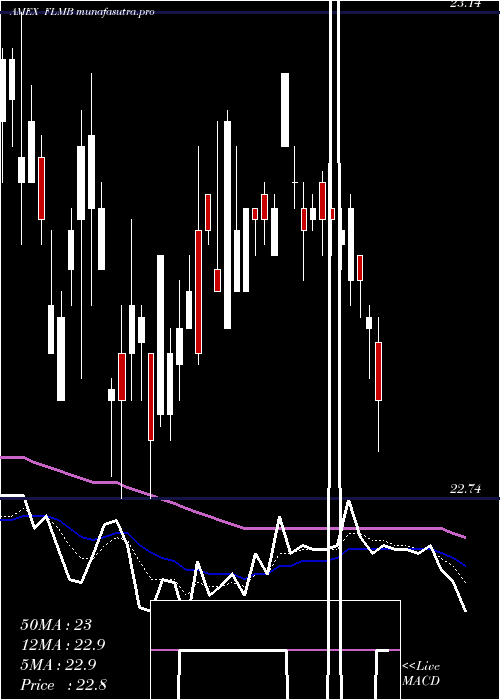 Daily chart FranklinLiberty