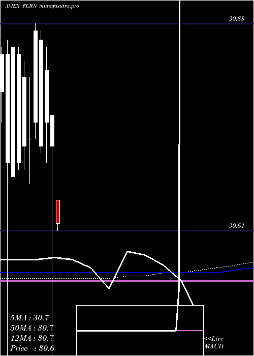monthly chart SpdrInv