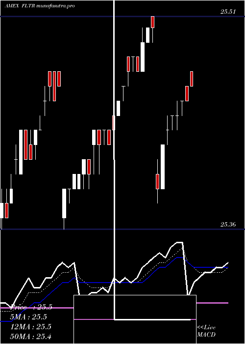  Daily chart MarketVectors
