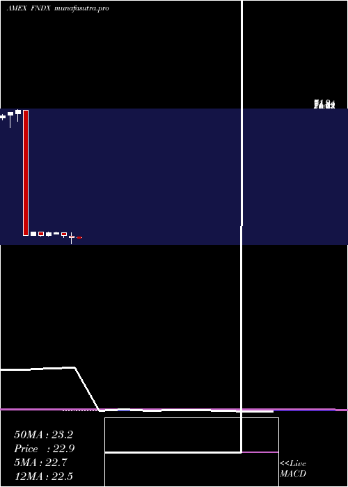 monthly chart SchwabFundamental
