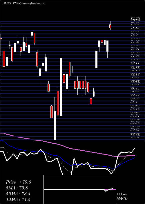 Daily chart MicrosectorsFang