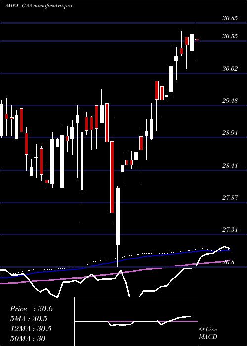 weekly chart CambriaGlobal