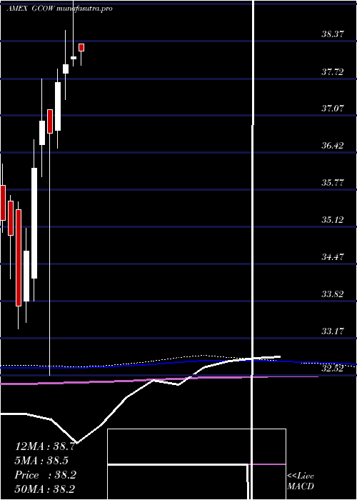  monthly chart PacerGlobal