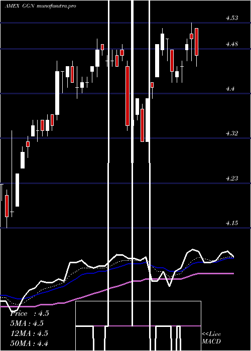 Daily chart GamcoGlobal