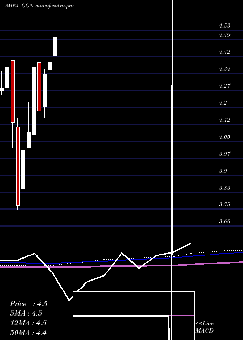 monthly chart GamcoGlobal