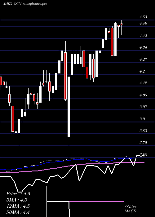 weekly chart GamcoGlobal