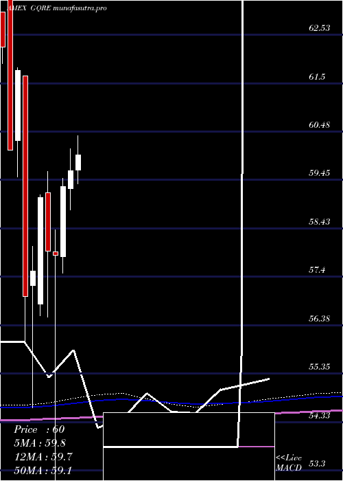 monthly chart FlexsharesGlobal