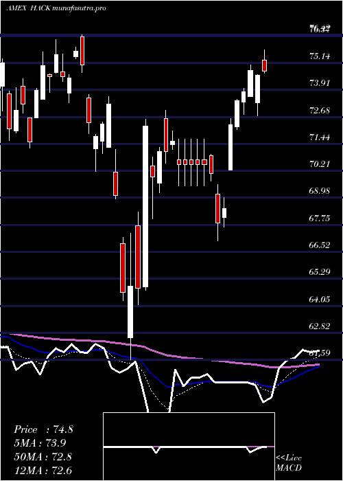 Daily chart PurefundsIse