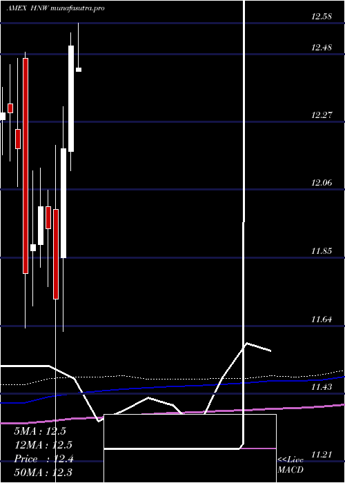 monthly chart PioneerDiversified