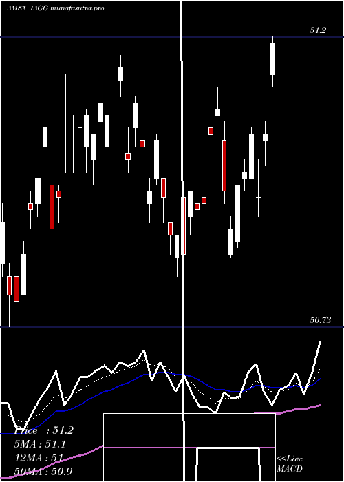  Daily chart IsharesInternational