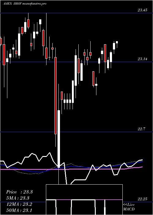  weekly chart IsharesIbonds